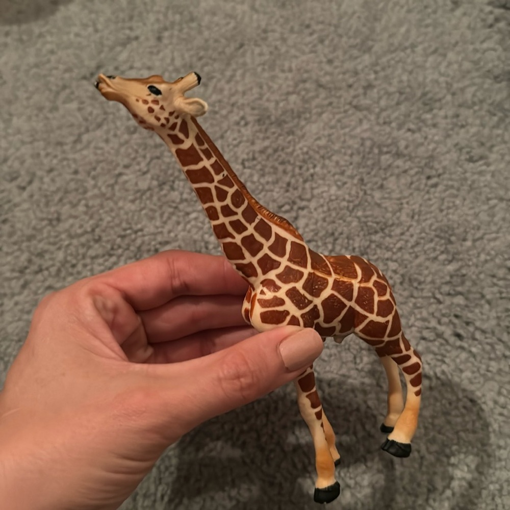 Giraffe 🦒